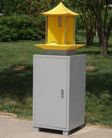 樱桃小视频入口在线观看