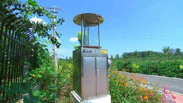 樱桃小视频入口在线观看