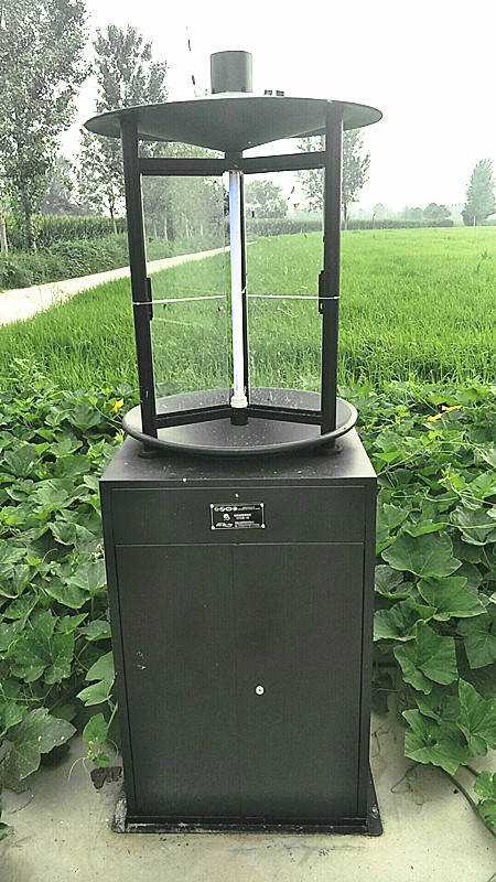 樱桃小视频入口在线观看