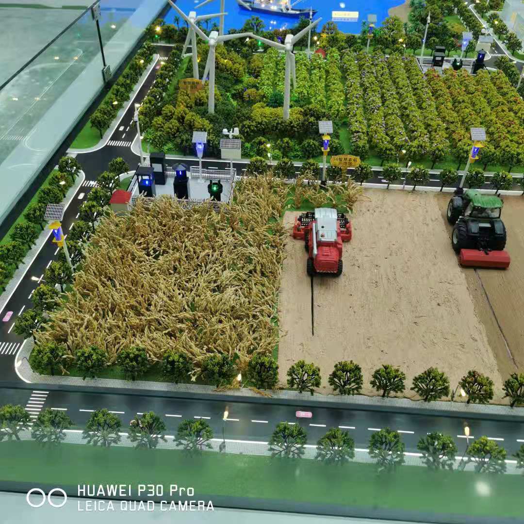 樱桃小视频入口在线观看